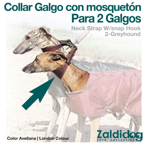 Collar Galgo Con Mosqueton Para 2 Galgos