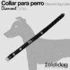Collar PERRO Diamont Dc093 Negro