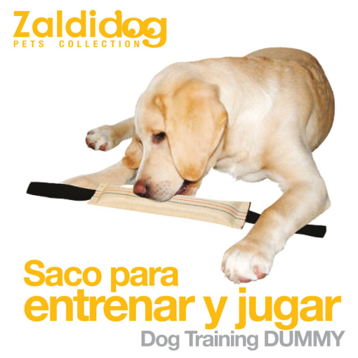 Saco Para Entrenar Y Jugar 31Cm