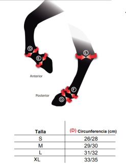 PROTECTOR ZANDONÀ CARBON AIR TENDON (PAR)