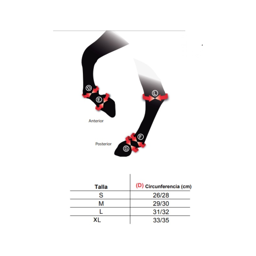 PROTECTOR ZANDONÀ CARBON AIR TENDON (PAR)