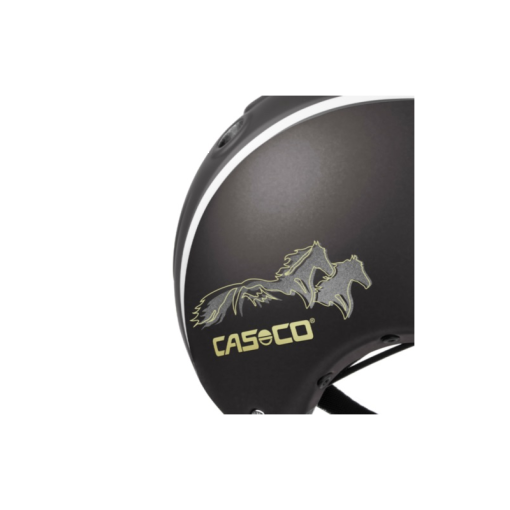 CASCO CAS CO CHOICE