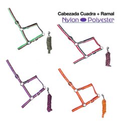 CABEZADA CUADRA + RAMAL TRICOLOR