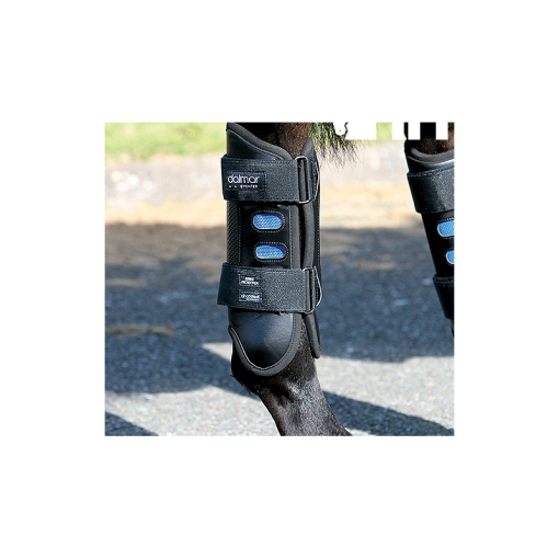 PROTECTOR HORSEWARE DALMAR EVENTER BACK TRASERO ALTO (PAR)