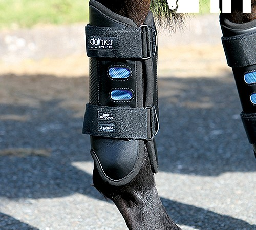 PROTECTOR HORSEWARE DALMAR EVENTER BACK TRASERO ALTO (PAR)
