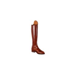 BOTA DOMA BOXC BRONCE ELASTIC