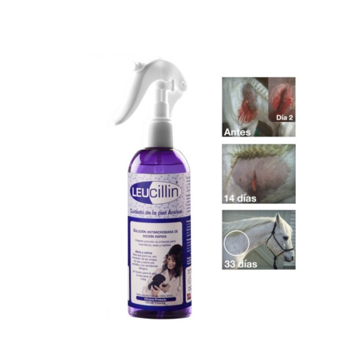 ZALDI DESINFECTANTE CICATRIZANTE LEUCILLIN