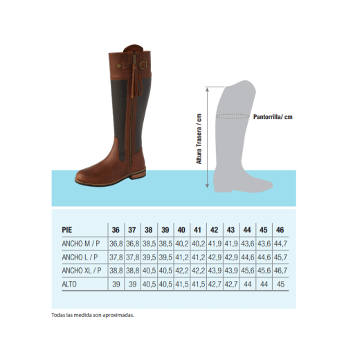 BOTA LEXHIS MONTERIA ALTA CLASICA