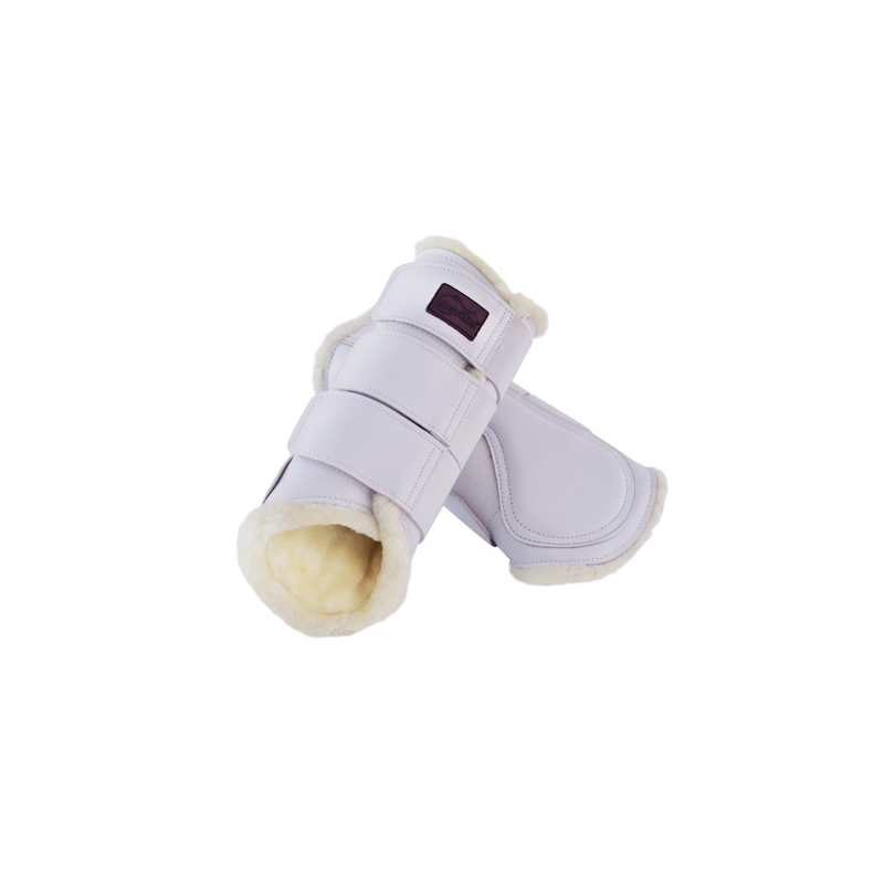 PACK PROTECTOR LEXHIS DOMA DELANTERO Y TRASERO - Imagen 4