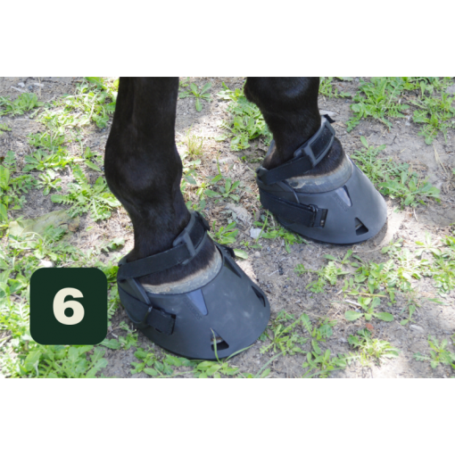 ZAPATOS GATUSOS TPU
