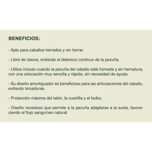 ZAPATOS GATUSOS TPU