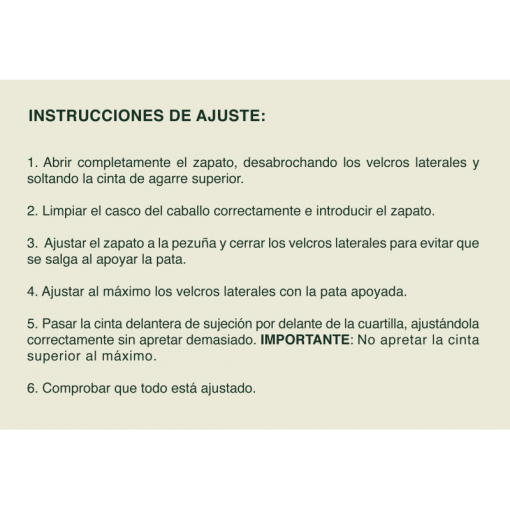 ZAPATOS GATUSOS TPU