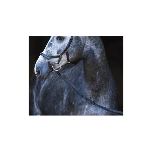 RIENDAS RAMBO MICKLEM MULTIBRIDLE ORIGINAL