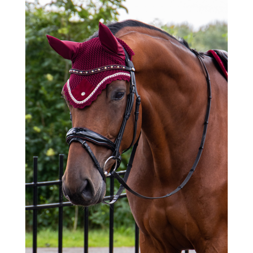 CABEZADA QHP ORLANDO CHAROL Burgundy