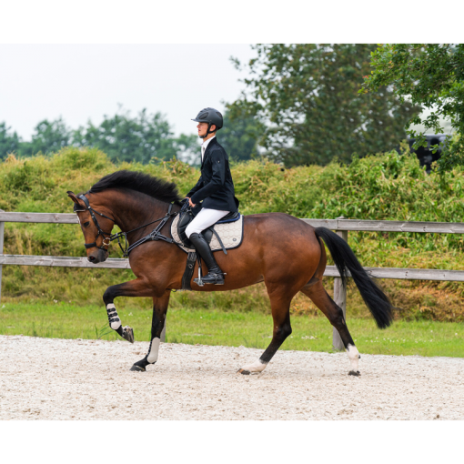 CHAQUETA COMPETICION QHP VIC CABALLERO