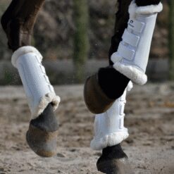 PROTECTORES GATUSOS BORREGUILLO DELANTERO ROYAL