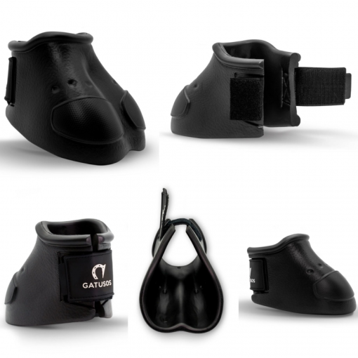 CAMPANA GATUSOS ROYAL