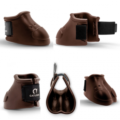 CAMPANA GATUSOS ROYAL