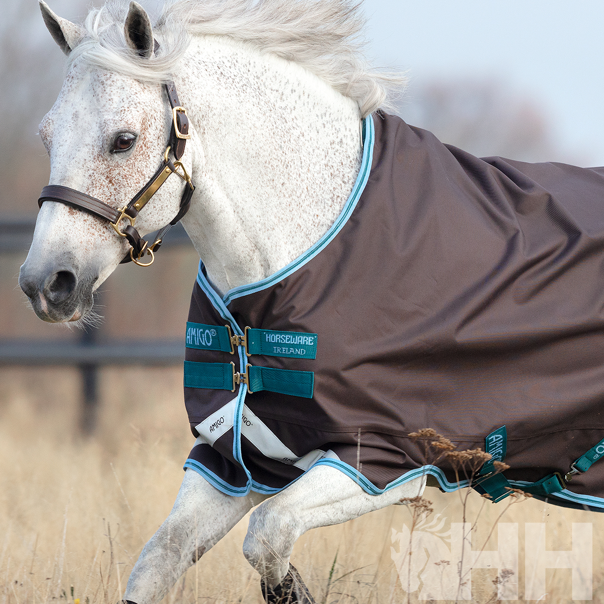 MANTA AMIGO BRAVO 12 PONY EXTERIOR LLUVIA (0G) - Imagen 4