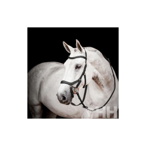 CABEZADA INGLESA HORSEWARE MICKLEM 2 COMPETITION BRIDLE (SIN RIENDAS)