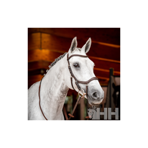 CABEZADA INGLESA HORSEWARE MICKLEM 2 COMPETITION BRIDLE (SIN RIENDAS)
