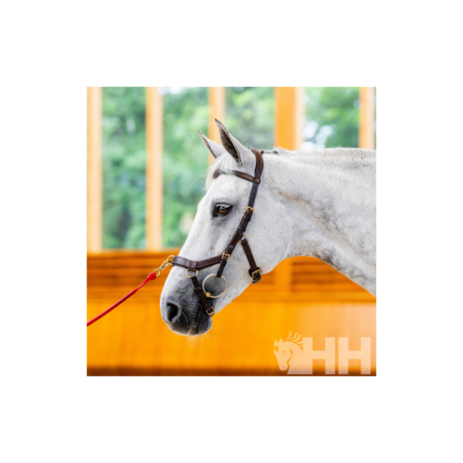 CABEZADA INGLESA HORSEWARE MICKLEM 2 MULTIBRIDLE (SIN RIENDAS)