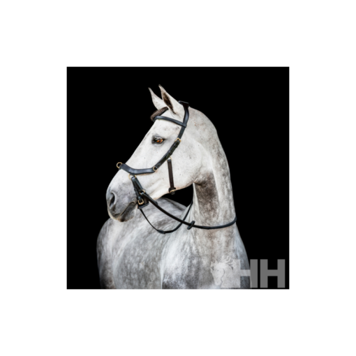 CABEZADA INGLESA HORSEWARE MICKLEM 2 MULTIBRIDLE (SIN RIENDAS)