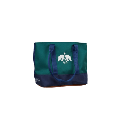 BOLSA ARENA PARA MANO