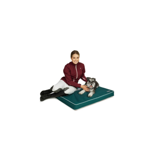 CAMA ARENA PARA PERROS