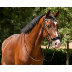 CABEZADA INGLESA ALEMANA QHP Phaedra