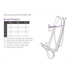 CABEZADA INGLESA ALEMANA QHP Phaedra