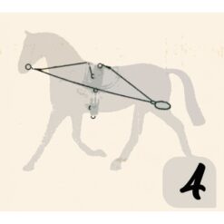 CHAMBÓN ENTRENAMIENTO PESSOA PASSOVA