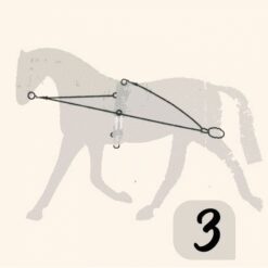 CHAMBÓN ENTRENAMIENTO PESSOA PASSOVA