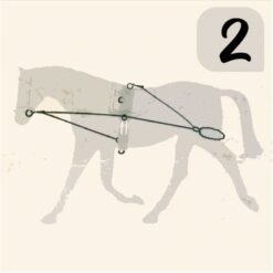 CHAMBÓN ENTRENAMIENTO PESSOA PASSOVA