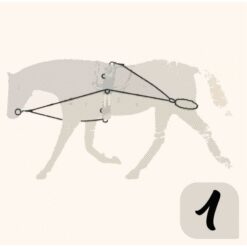 CHAMBÓN ENTRENAMIENTO PESSOA PASSOVA