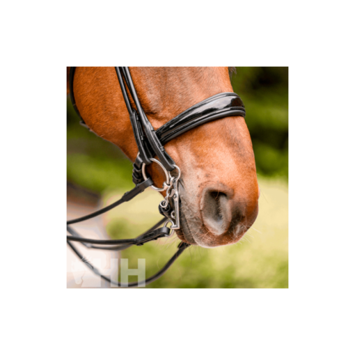 FILETE SPRENGER DYNAMIC RS PARA BOCADO PARTIDO DOBLE 14MM