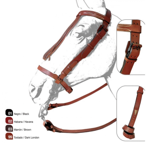CONJUNTO CABEZADA VAQUERA & PECHOPETRAL ANCHORONDA - Imagen 8