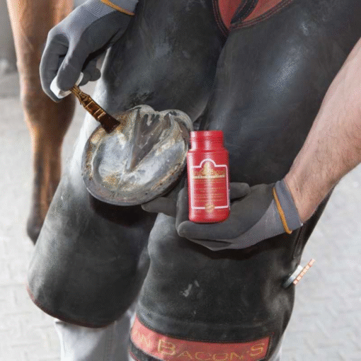 KEVIN BACON'S HOOF SOLUTION PARA EL TRATAMIENTO DE LA RANILLA - Imagen 3