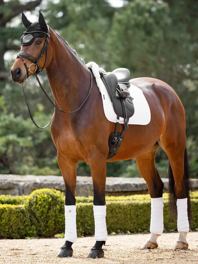 LEMIEUX MERINO+ HALF LINED DRESSAGE SQUARE - Imagen 2