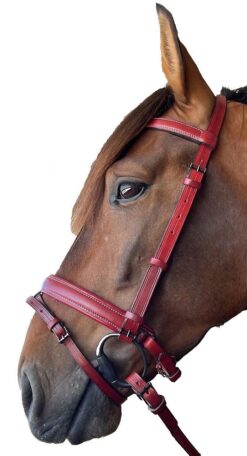 CABEZADA ALTA ESCUELA CIERRE DE PRESIÓN PARA FILETE