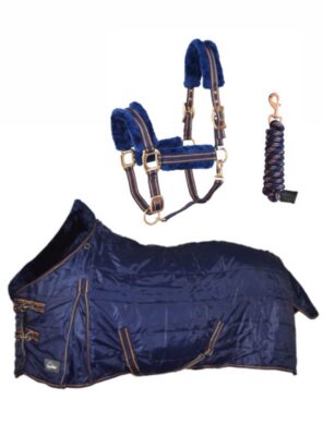 CONJUNTO DELUXE ORO ROSE MANTA INVIERNO + CABEZADA CON RAMAL