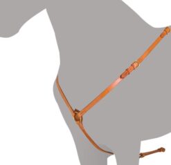 PECHOPETRAL ALTA ESCUELA LUDOMAR