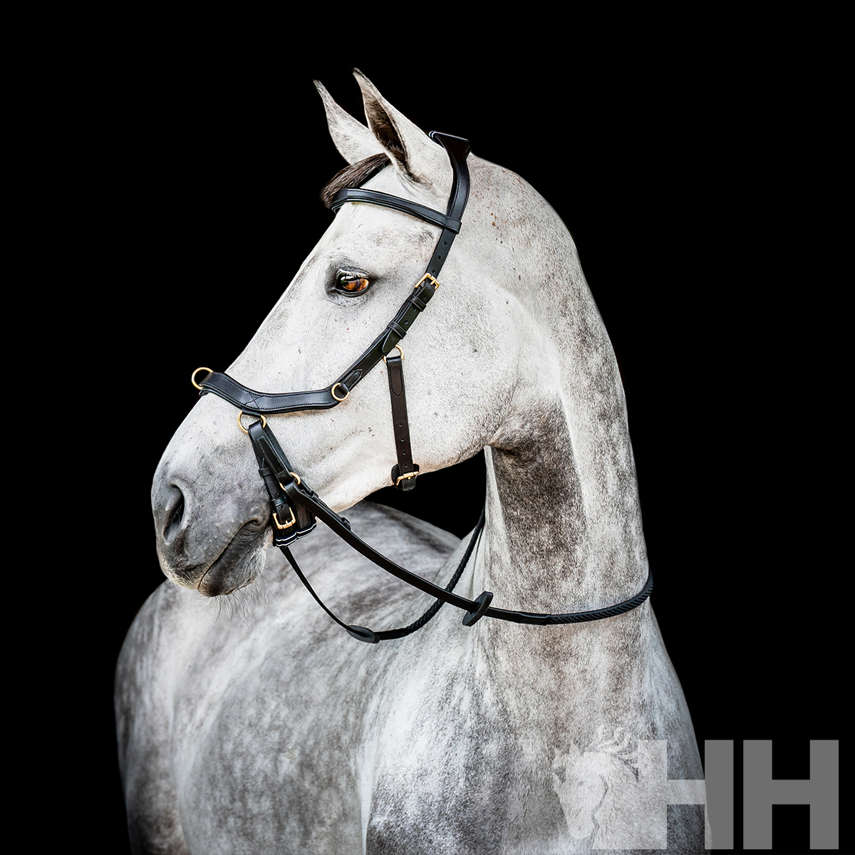 CABEZADA INGLESA HORSEWARE MICKLEM 2 MULTIBRIDLE (SIN RIENDAS)
