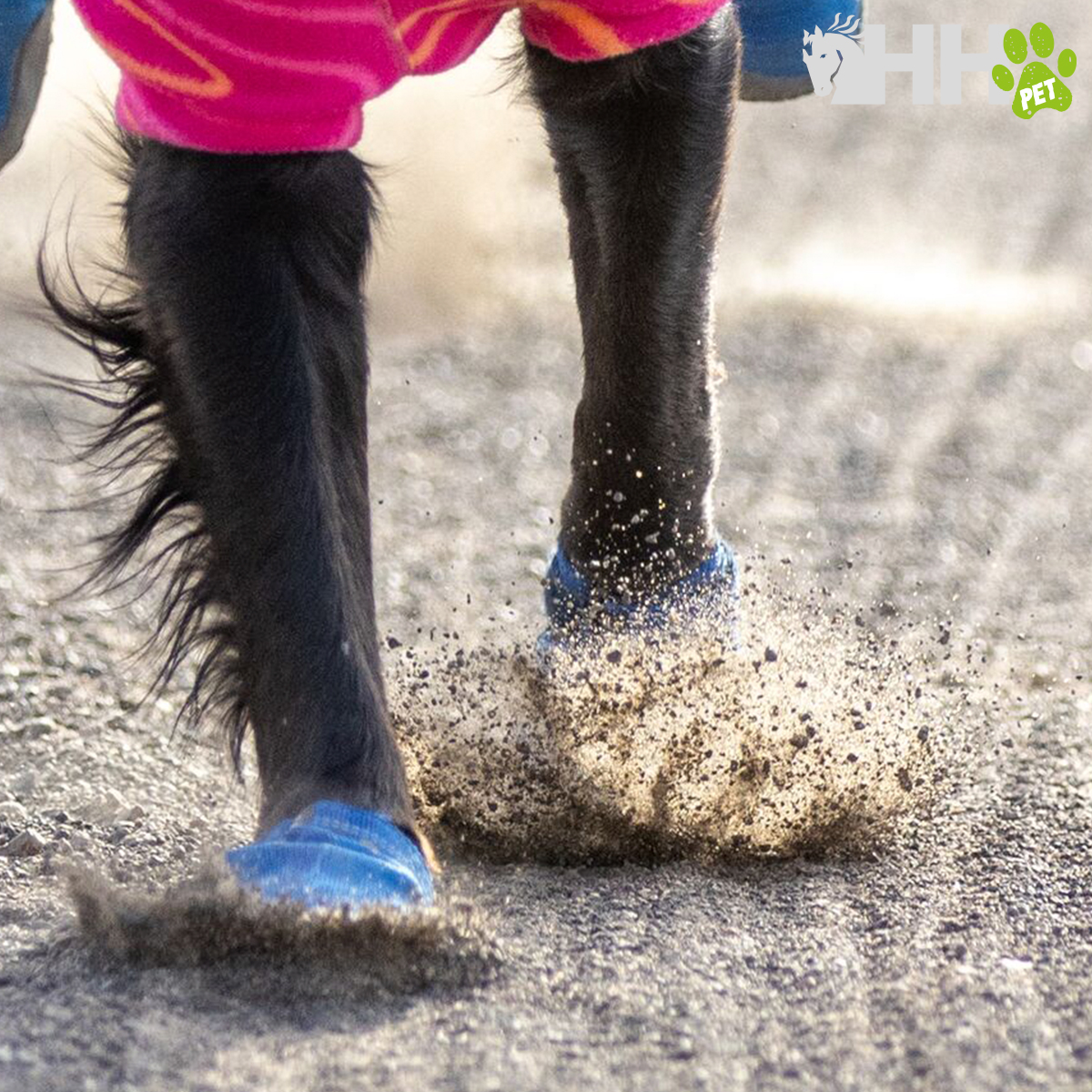 ZAPATILLA DE TRAIL RUFFWEAR PARA PERROS HI & LIGHT (PAR) - Imagen 6