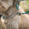 COLLAR MARTINGALA RUFFWEAR PARA PERROS CHAIN REACTION