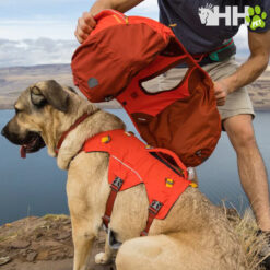 MOCHILA RUFFWEAR PARA PERROS PALISADES