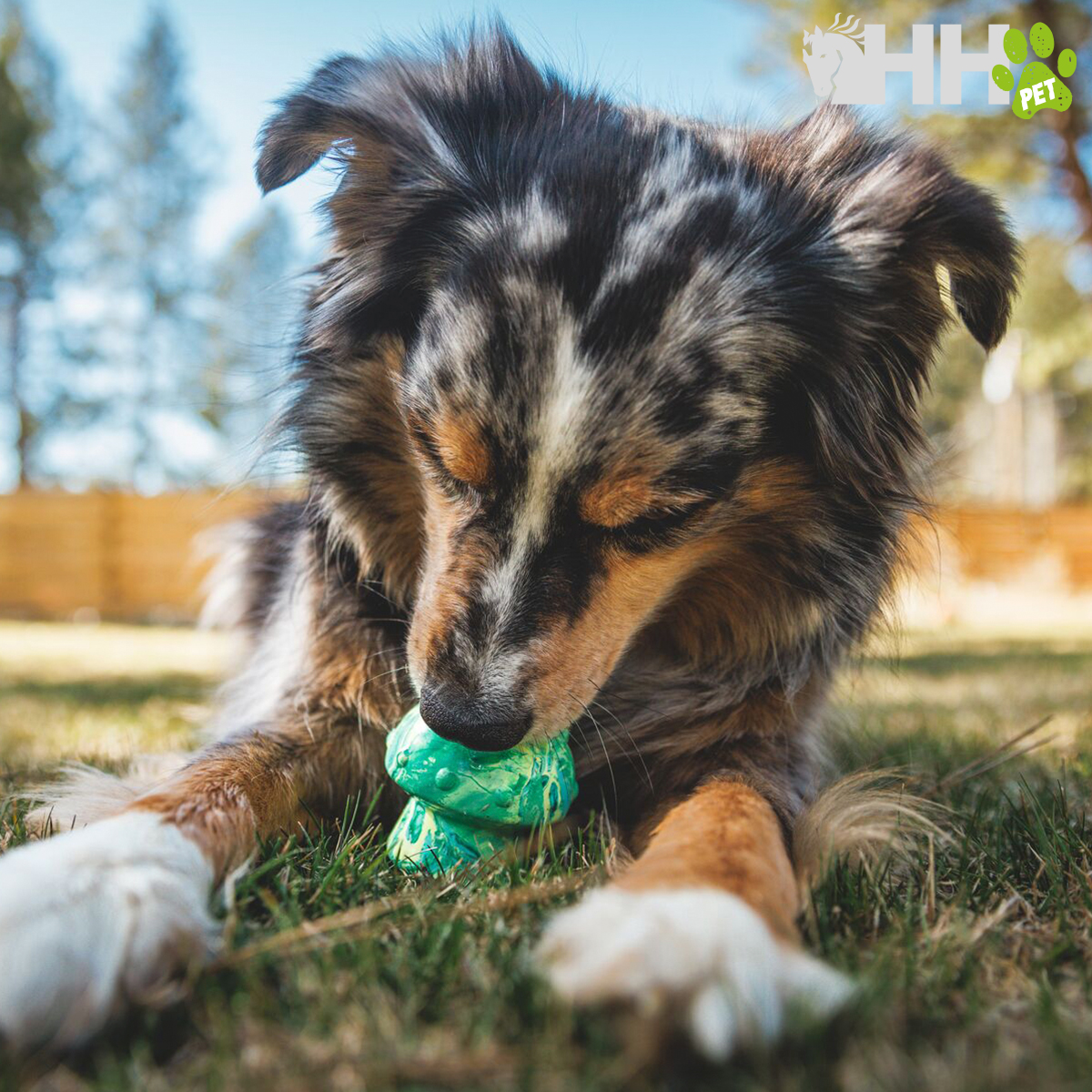 JUGUETE PARA LANZAR RUFFWEAR PARA PERROS TOADSTOOL - Imagen 3