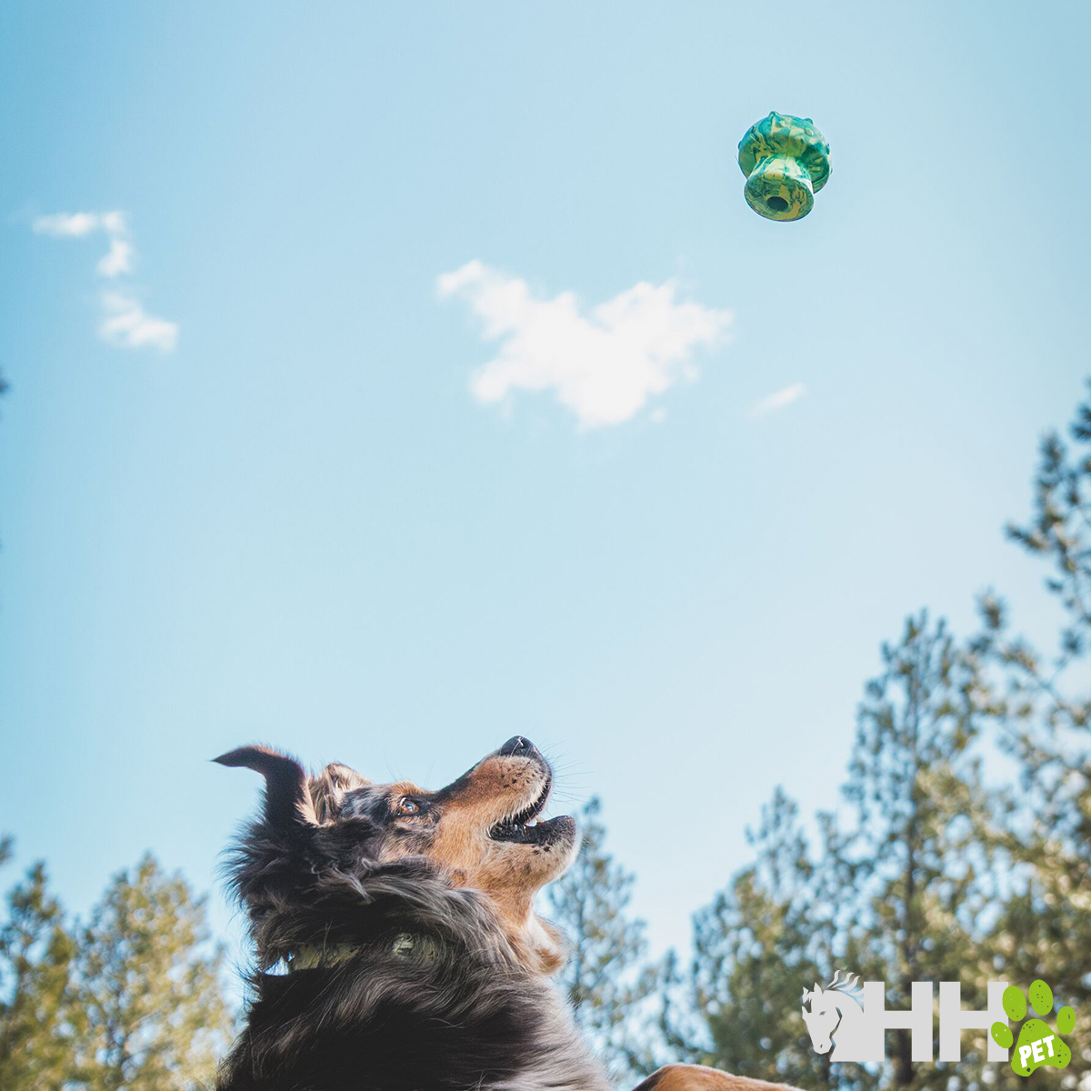 JUGUETE PARA LANZAR RUFFWEAR PARA PERROS TOADSTOOL - Imagen 7