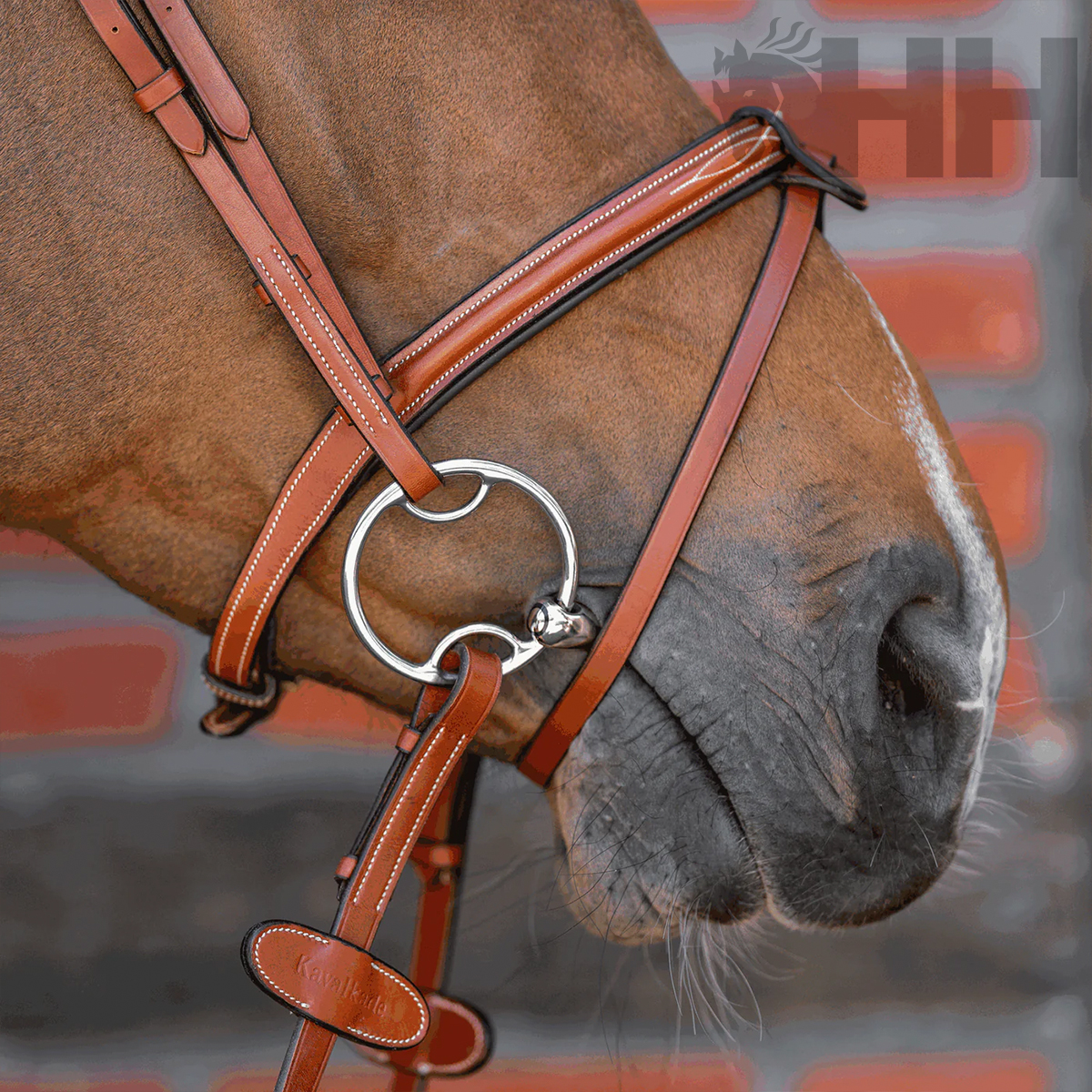 FILETE SPRENGER DYNAMIC RS MULTI RING ANILLA 70mm PARTIDO SIMPLE