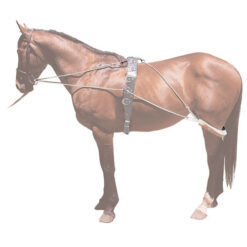 SISTEMA ENTRENAMIENTO PESSOA